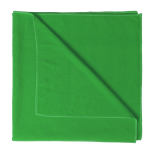 Lypso ručník - zelená