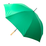 Asperit RPET deštník - zelená