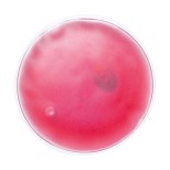 Relief tepelný polštářek - růžová